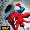 ASOMBROSO SPIDERMAN Nº239 / Nº30 [GRAPA]