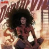 DAREDEVIL Nº23 [GRAPA]