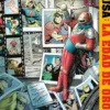 DC ELSEWORLDS: JSA, LA EDAD DE ORO [RUSTICA]