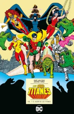 DC ICONS: LOS NUEVOS TITANES VOL.01 (1 DE 6): EL ALBOR DE LOS TITANES [CARTONE]