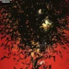 LOBEZNO Nº105 / 5