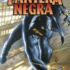 MARVEL HEROES: PANTERA NEGRA DE CHRISTOPHER PRIEST VOL.01 [CARTONE]