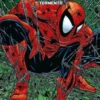MARVEL MUST-HAVE: SPIDERMAN, TORMENTO [CARTONE]