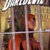 MARVEL SAGA: DAREDEVIL VOL.15, EL DIABLO EN LA GALERIA D [CARTONE]