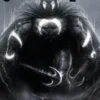 VENGANZA DEL CABALLERO LUNA VOL.1:NUEVA LUNA [RUSTICA]